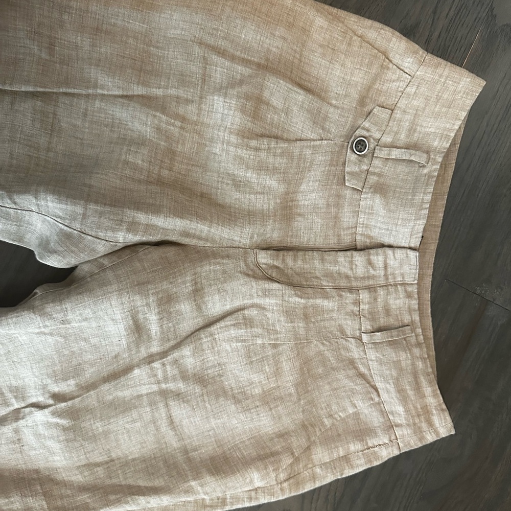 Zara women’s Light Brown Chinos